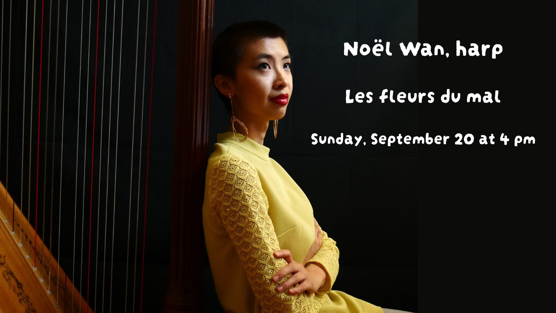 Noel Wan, Harp